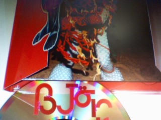 20070611210823-bjork.-.volta.jpg