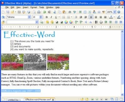 20080327022900-effective.word.v1.002.029-bean.jpg