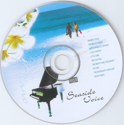 20080416015331-va.-.piano.seaside.voice.jpg