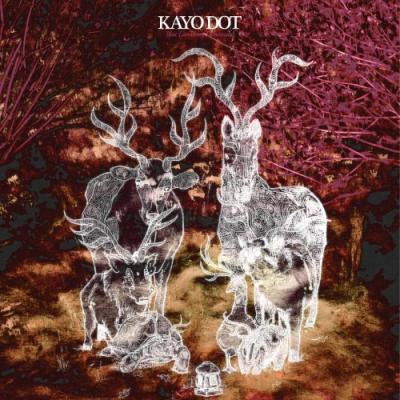 20080502012507-kayo.dot.-.blue.lambency.downward.jpg